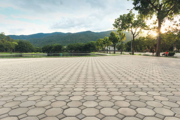 Best Driveway Pavers Near Me  in Forest Park, OH
